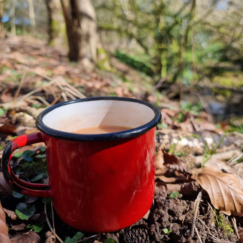 Retreat: Pursuing the Power of Nature
