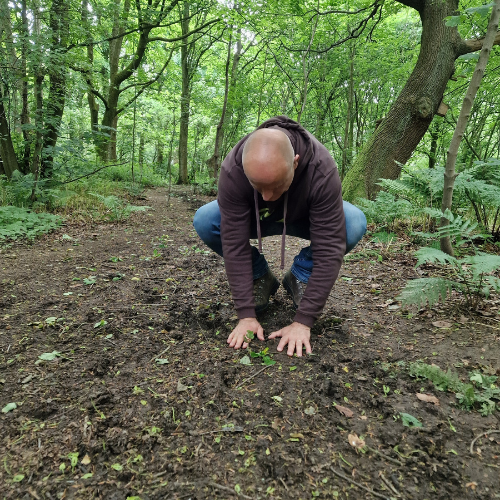 Retreat: Pursuing the Power of Nature