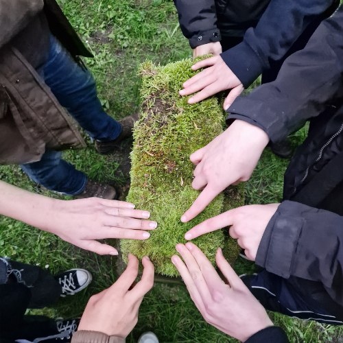 Retreat: Pursuing the Power of Nature