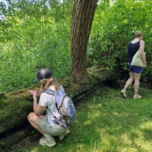 Retreat: Pursuing the Power of Nature