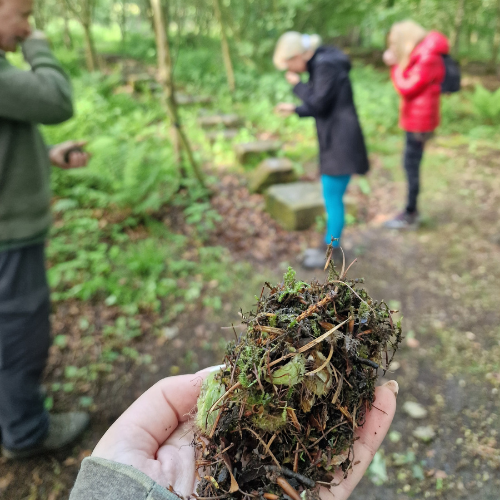 Retreat: Pursuing the Power of Nature