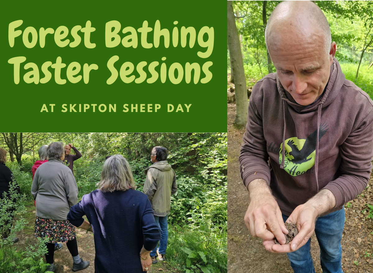 Forest Bathing Taster Sessions - Skipton Sheep Day