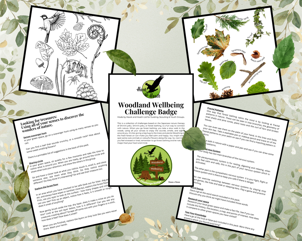 Woodland Wellbeing Challenge (PDF Download)